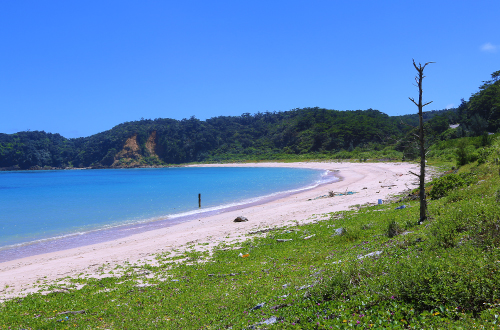 伊武海岸