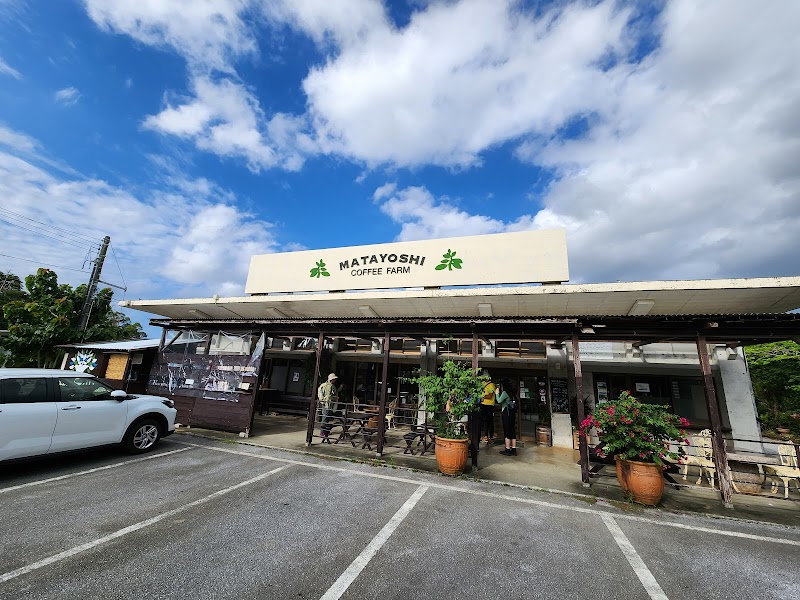ATV buggy (North Venue / Matayoshi Coffee Farm)