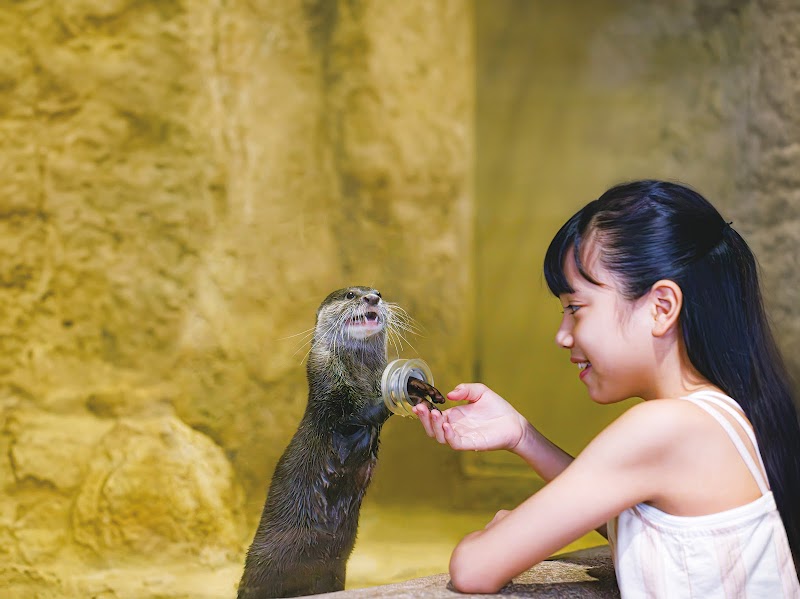 DMM Kariyushi水族館