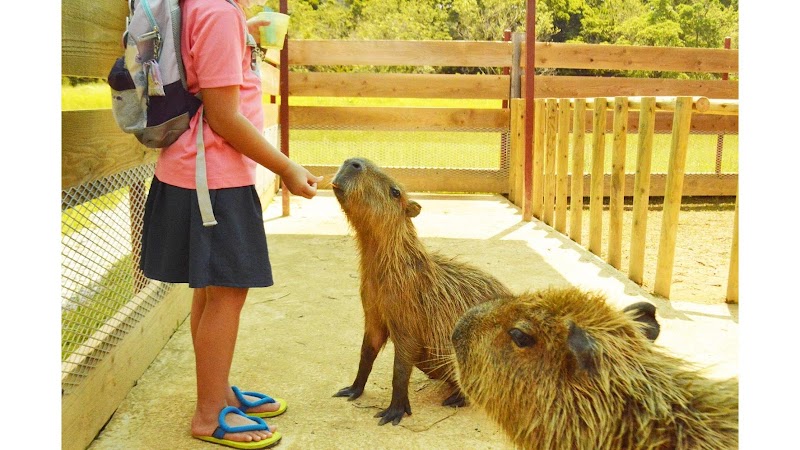 名護自然動植物公園